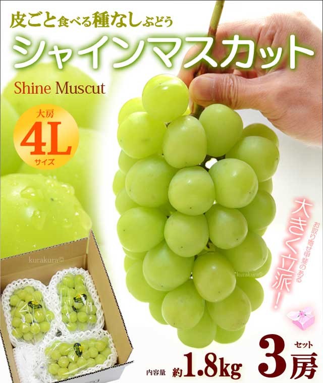 シャインマスカット 晴王 4L×3房(約1.8kg)岡山産 秀品 ぶどう :fi-2126b:まいどおおきに屋クラクラ - 通販 -  Yahoo!ショッピング