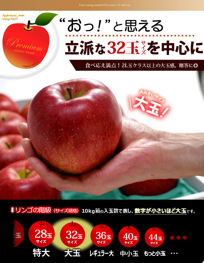 シナノスイートりんご大玉32サイズ