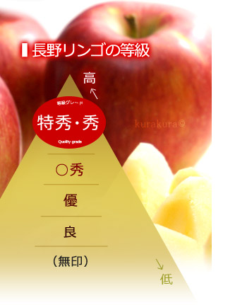 長野シナノスイート版/リンゴの等級ランク図