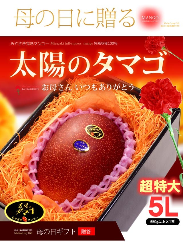 母の日 ギフト 太陽のタマゴ (5L×1玉/約650g以上) 宮崎産 赤秀〜青秀 