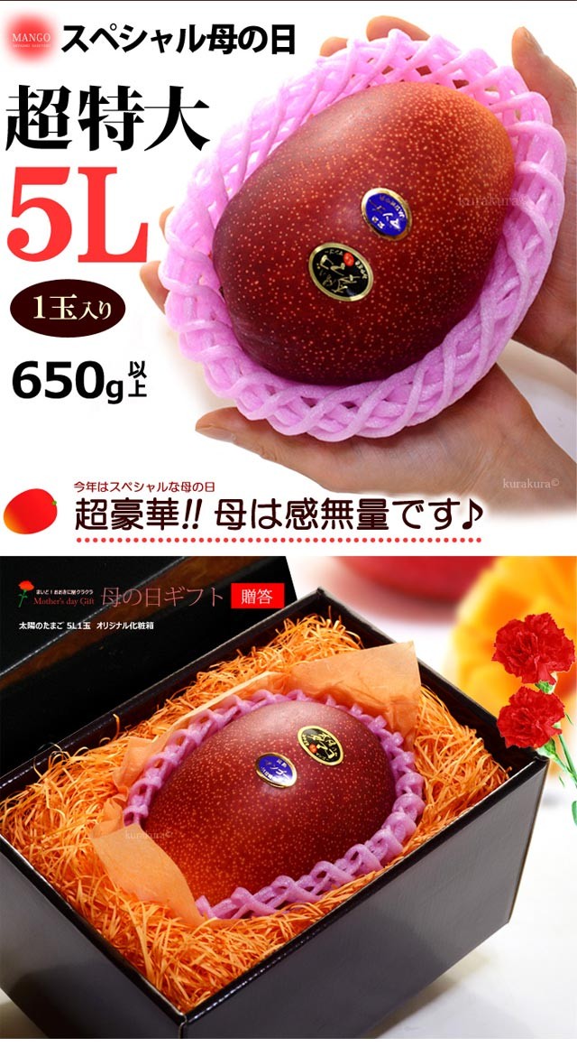 母の日 ギフト 太陽のタマゴ (5L×1玉/約650g以上) 宮崎産 赤秀〜青秀 