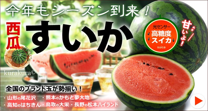 スイカ特集