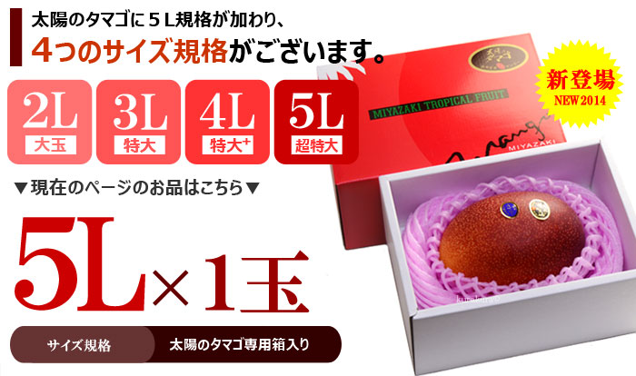太陽のタマゴ (5L/約650g) 宮崎産 赤秀〜青秀 太陽のたまご