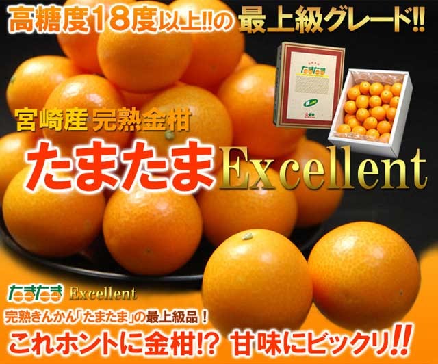 たまたま エクセレント 2L-3L (1kg) 宮崎産 たまたまEX 金柑 きんかん