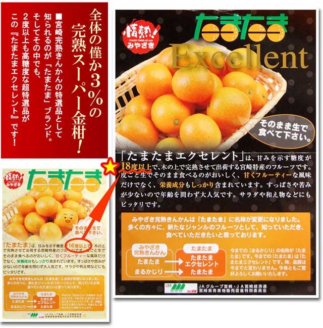 たまたま エクセレント 2L-3L (1kg) 宮崎産 たまたまEX 金柑 きんかん
