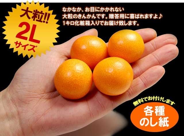 宮崎県産きんかん900g 生でも美味しい金柑！！ - 果物