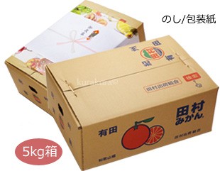 田村みかん5kg箱の外観姿