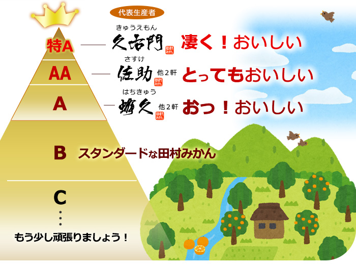 田村みかん生産者毎に評価ランク付け