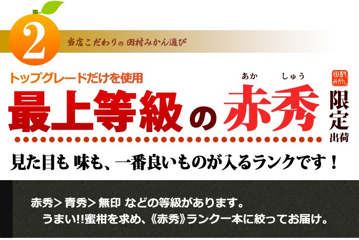 田村みかん2_最上等級の【赤秀】ランク限定販売