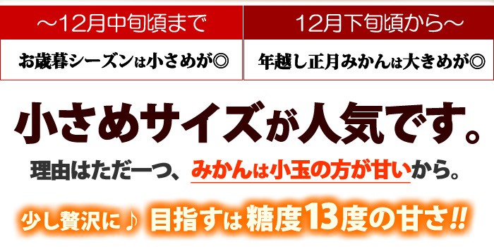 田村みかん小玉サイズ人気