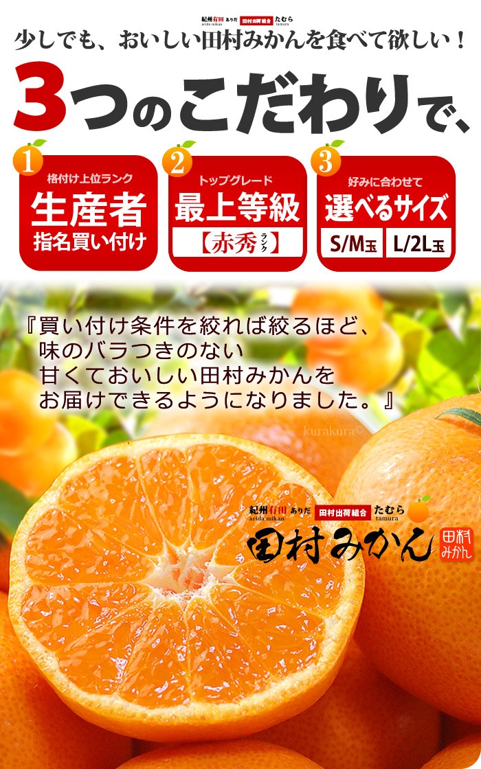 まいど！おおきに屋クラクラこだわり田村みかん