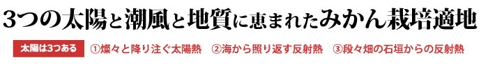 田村地区みかん栽培の適地
