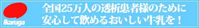 いかるが牛乳 低リン乳(125ml×24本)食事制限 糖尿病 透析 牛乳 :fi-2012:まいどおおきに屋クラクラ - 通販 -  Yahoo!ショッピング