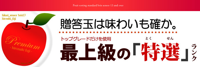 プレミアム弘前ふじ特選ランク