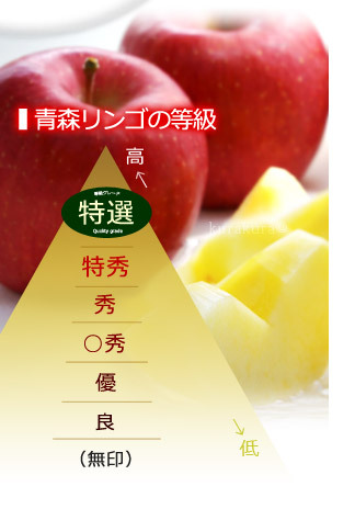 青森県版/リンゴの等級ランク図