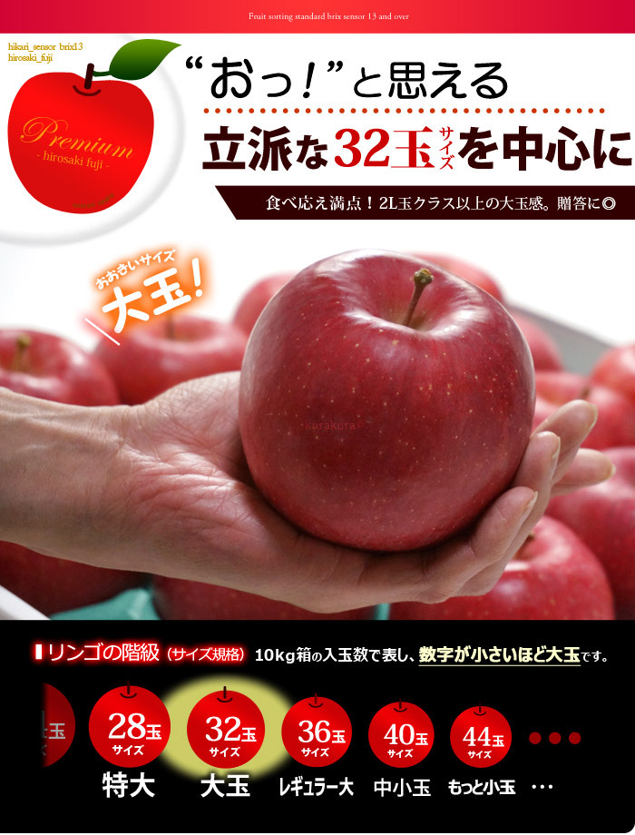 プレミアム弘前ふじリンゴ大玉32サイズ