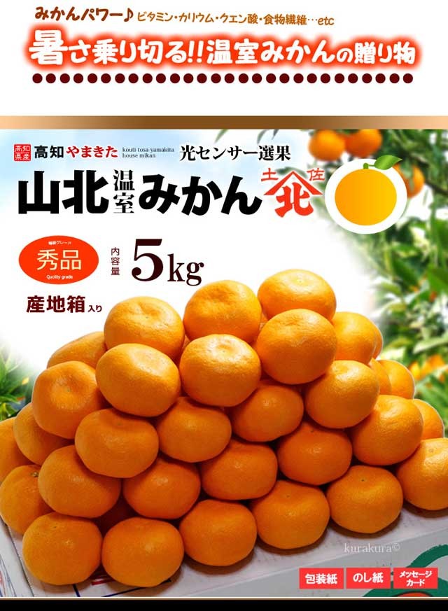 食品 パパイヤ様 山北みかん5キロ