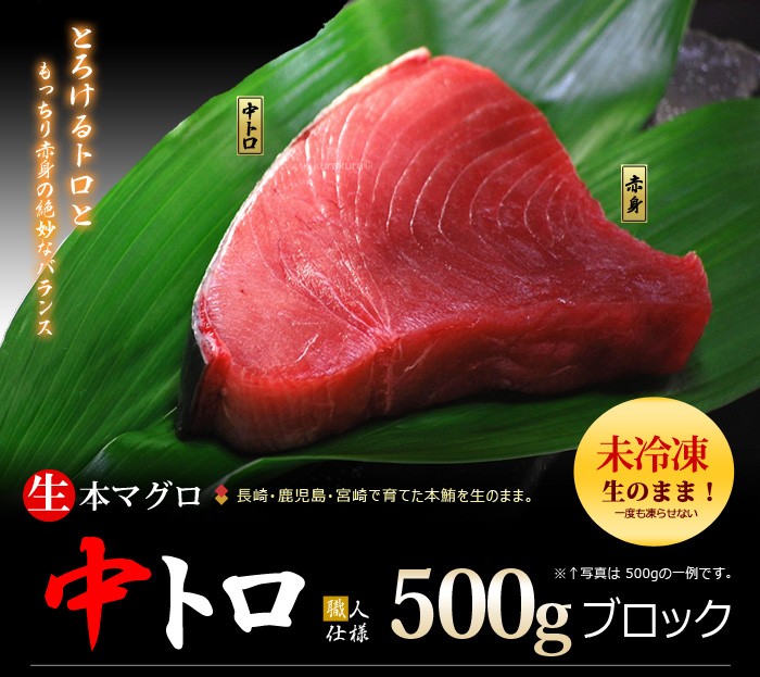 未冷凍！生本マグロ中トロ500gブロックのご案内