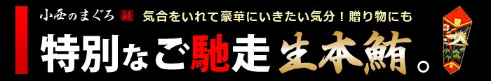 特別な贅沢ご馳走に生本マグロ