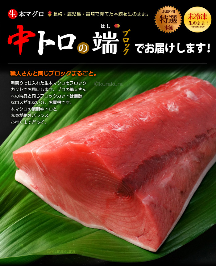 くるみ養殖本マグロ大トロ　腹のみ2.1ｋ　小分けカットして冷凍にしました。 産地直送【上五島産生本まぐろ「かみまぐろ」1kg】 赤身（約400g