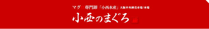 マグロ専門卸「小西水産」小西のマグロ