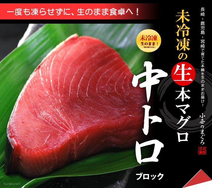 未冷凍！生本マグロ中トロブロックの販売/通販