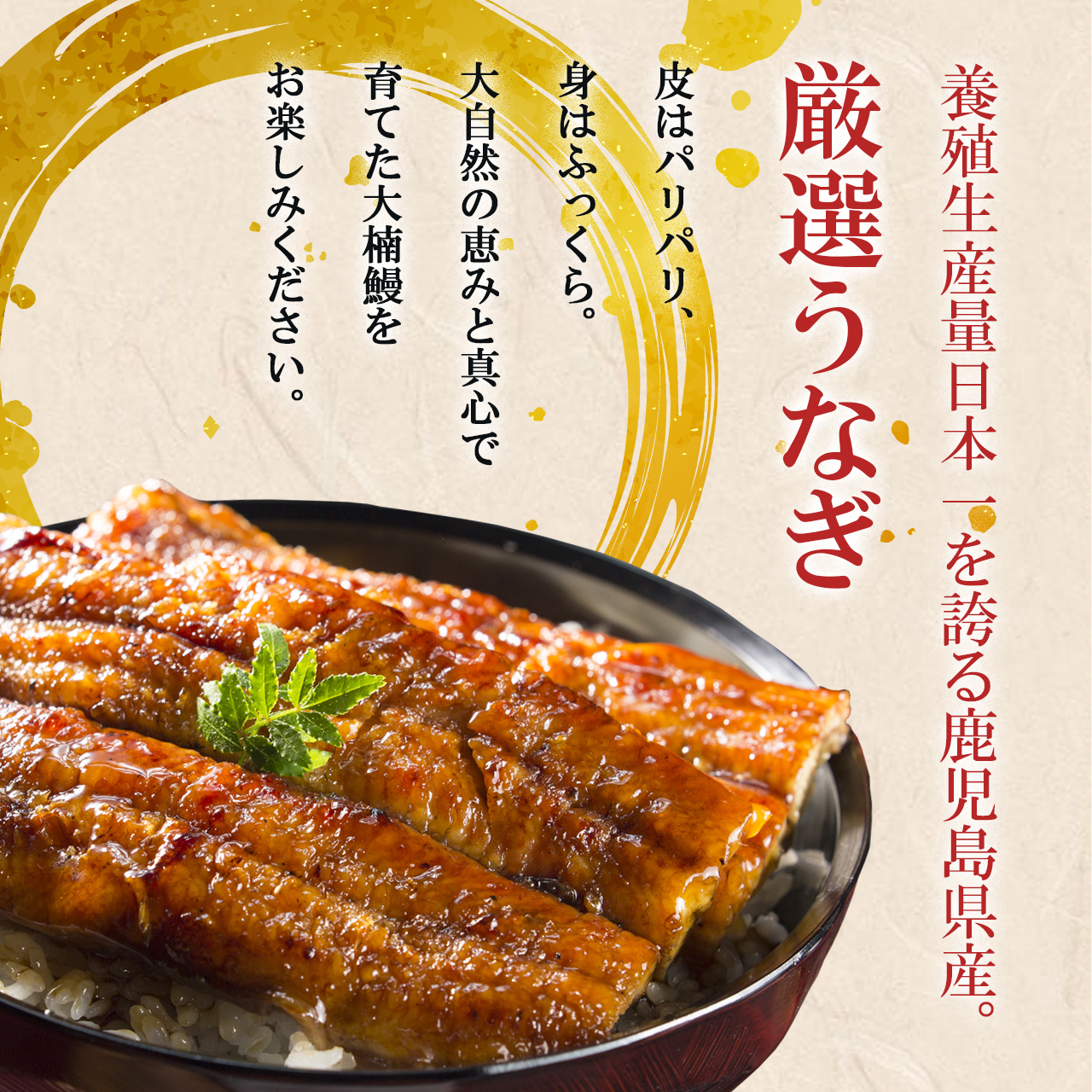 うなぎの蒲焼き