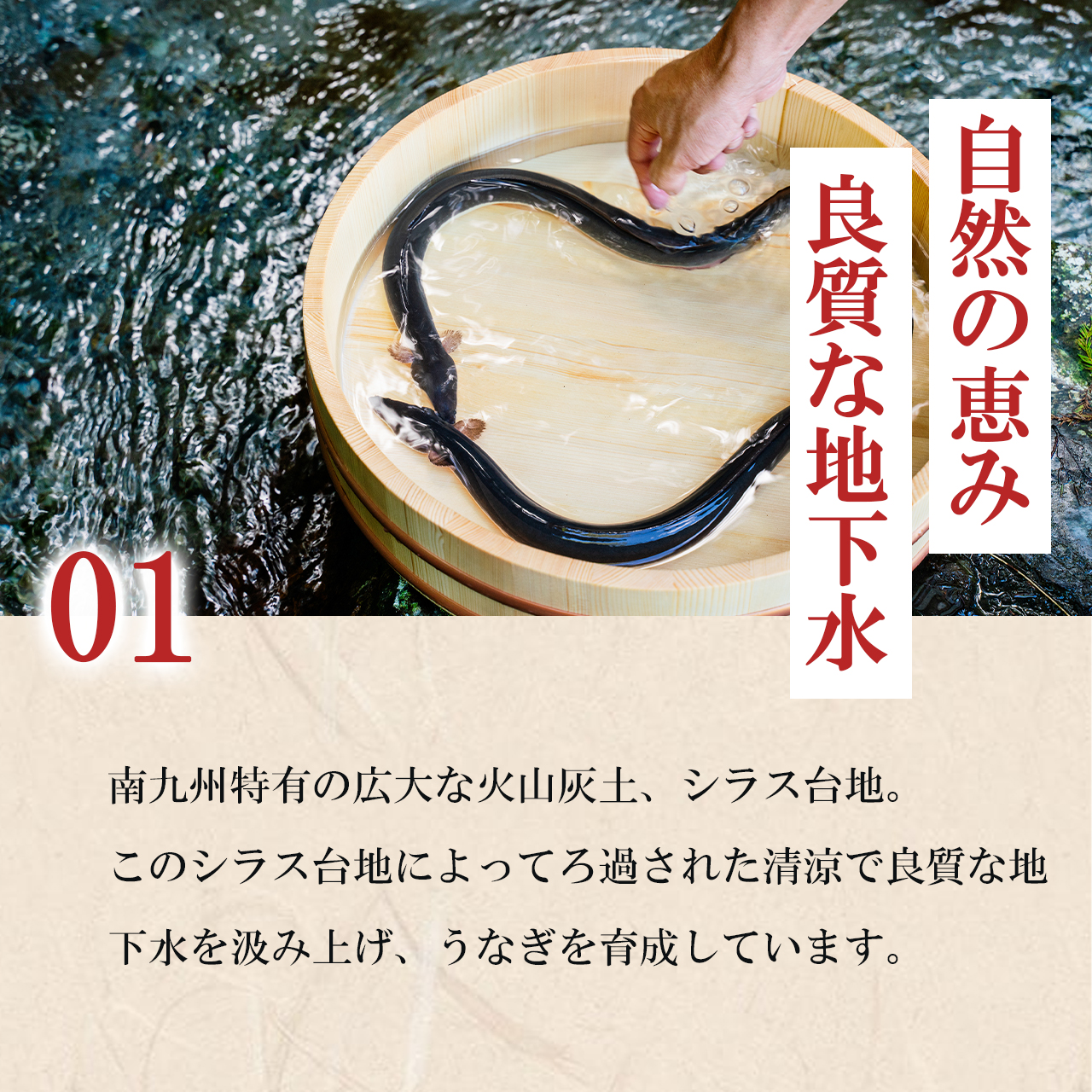 うなぎの蒲焼き