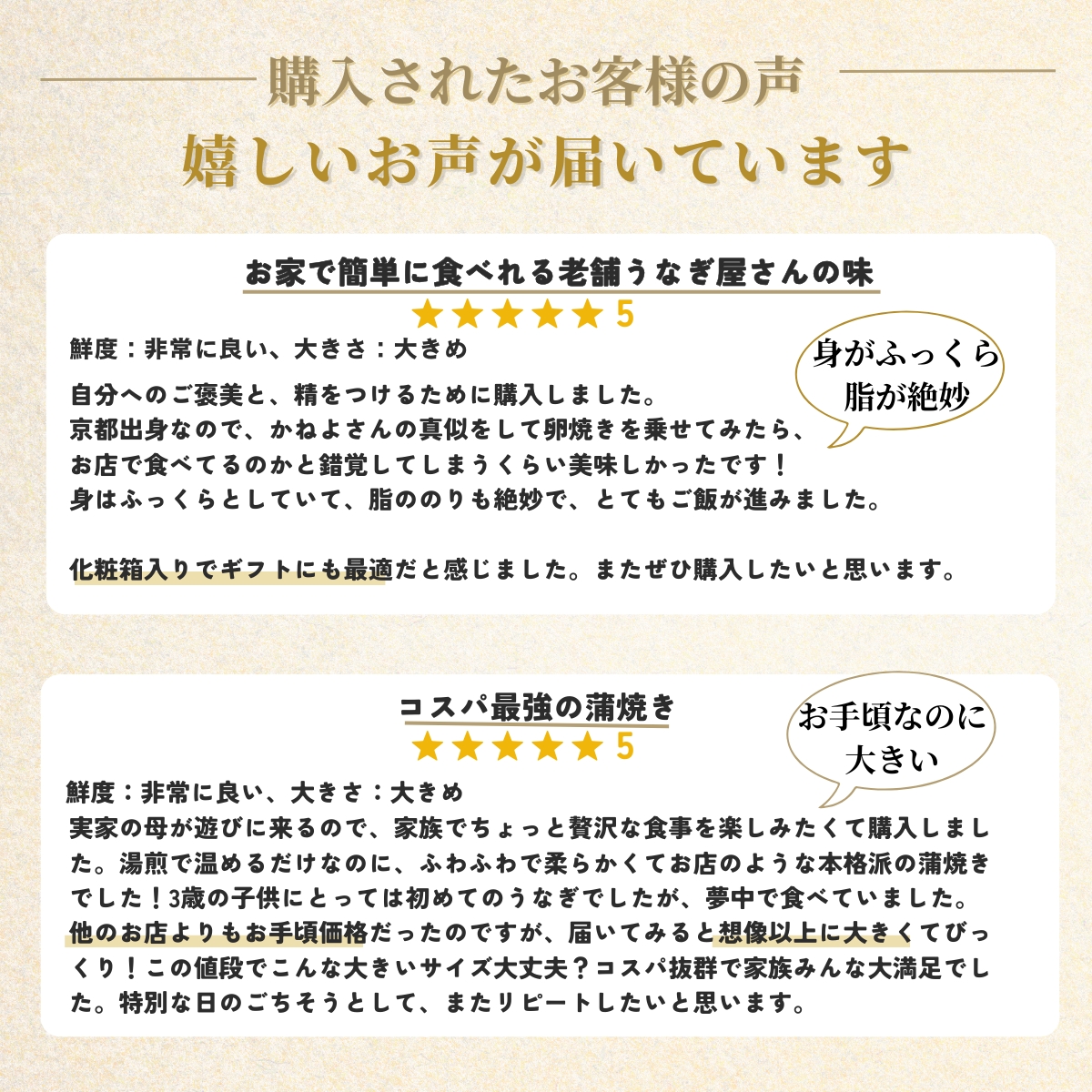 うなぎの蒲焼き