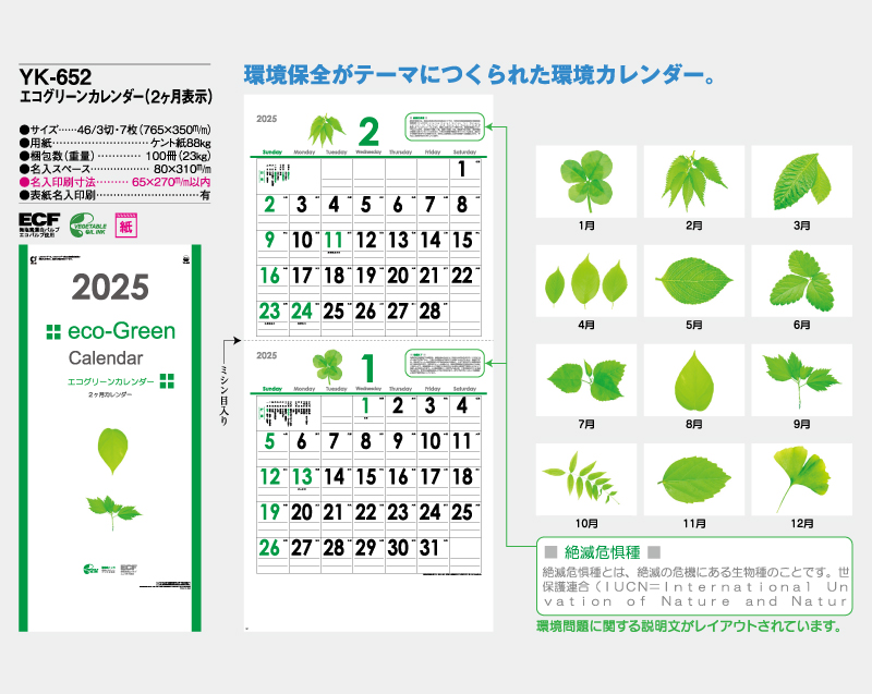 2024 損保ジャパン カレンダー 1冊 令和6年 守っていきたい地球の光景