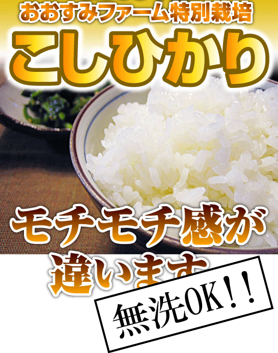 新米コシヒカリ5キロ  野菜おまけ付き