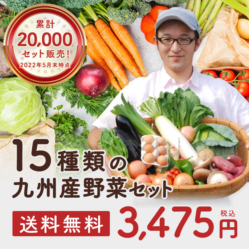 15種類の九州産野菜セット