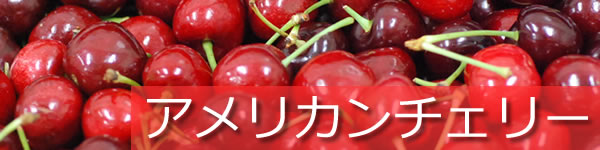 アメリカンチェリー