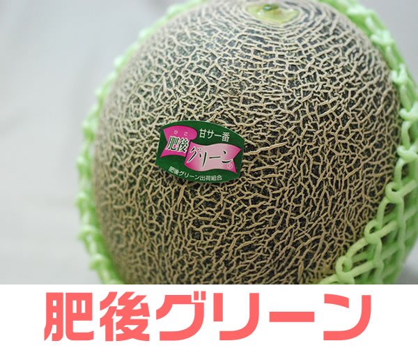 肥後グリーン
