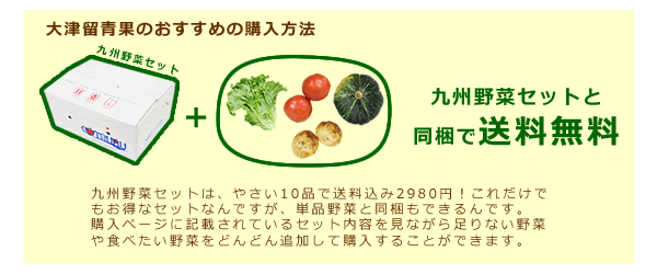 九州野菜セットと同梱で送料無料