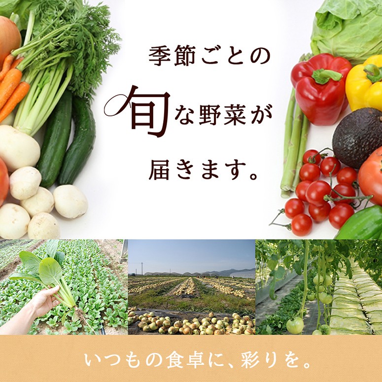 季節ごとの旬なお野菜