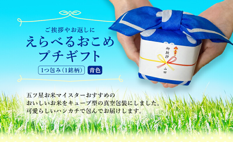 選べるプチギフト 1つ包み（1銘柄） 青色