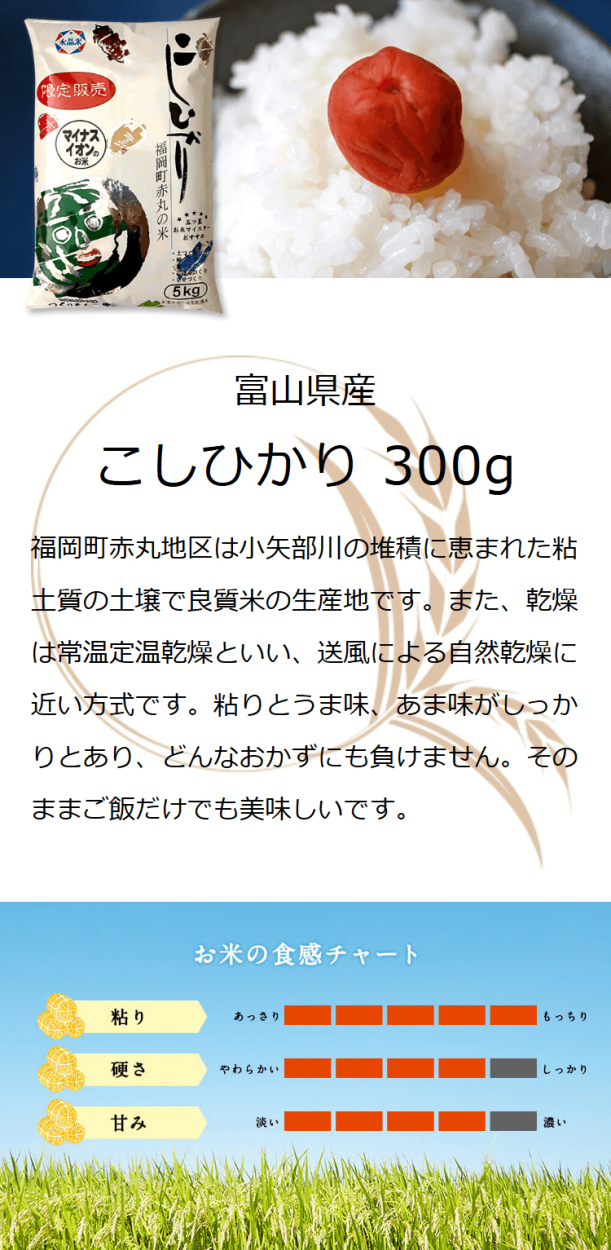 コシヒカリ お米 ギフト 米 (300g 約2合) 富山県産赤丸