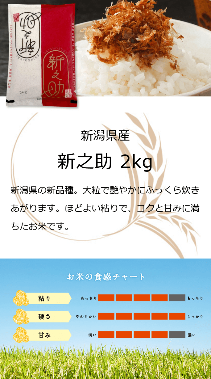 新之助（しんのすけ） お米 ギフト 米 2kg 新潟県産 2キロ 令和7年産
