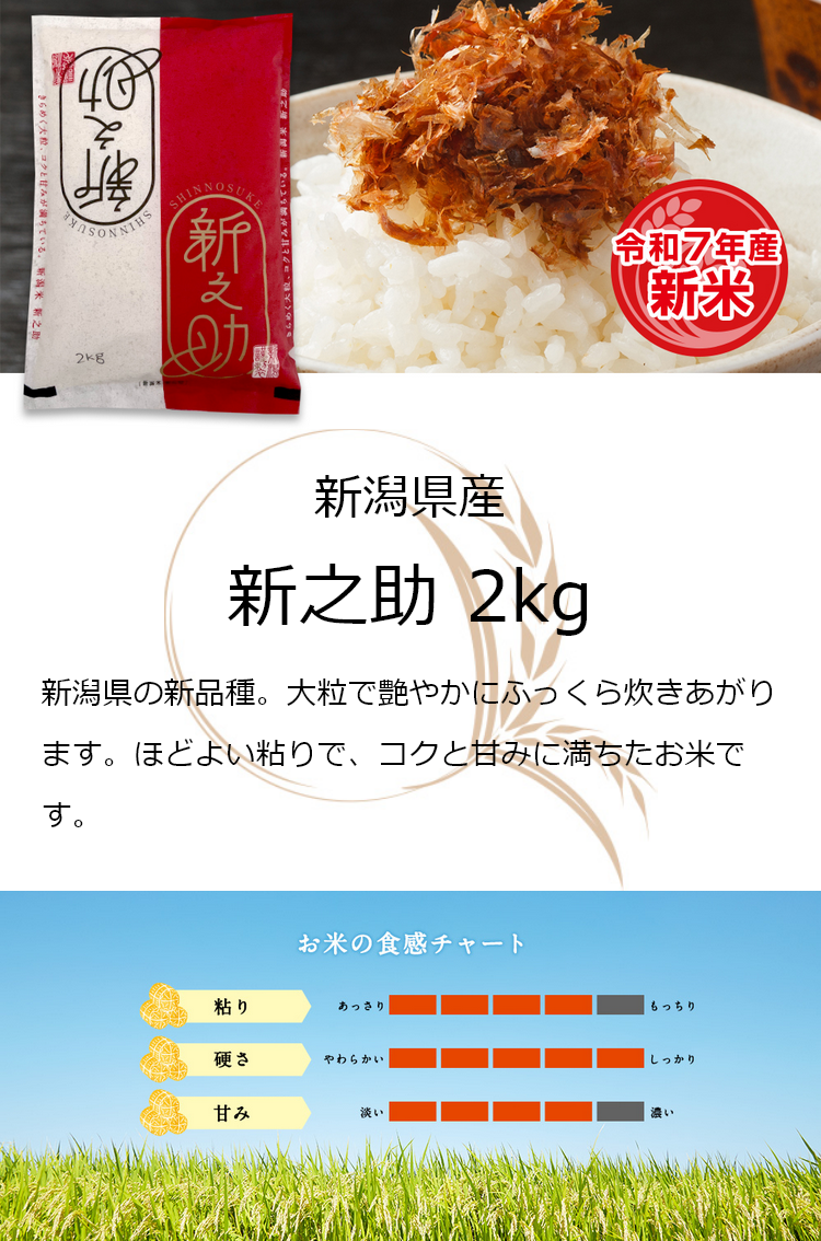 新之助（しんのすけ） お米 ギフト 米 2kg 新潟県産 2キロ 令和7年産