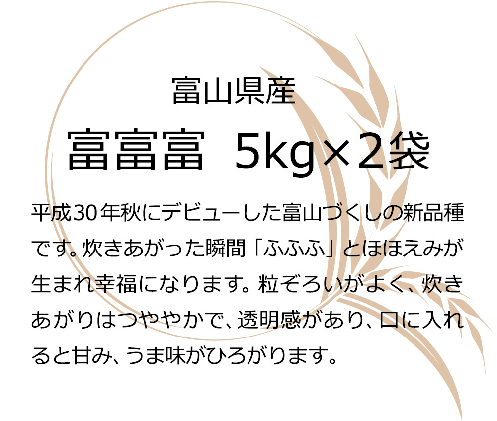 お米 ギフト 米 10kg 5kg×2袋 富富富 (ふふふ) 10キロ 富山県産 令和5