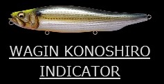 Megabass（メガバス） メガドッグ 220mm / 130g : オープンウォーター