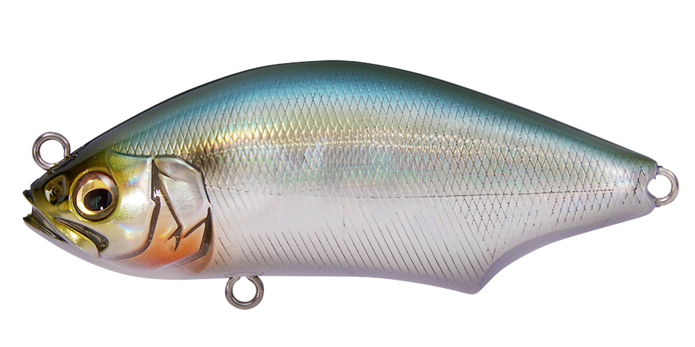 Megabass（メガバス） ハダラトラップ (メール便可) : オープン