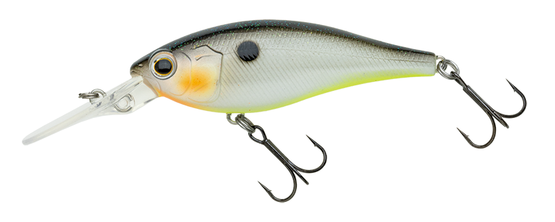 ノリーズ ジェティーシャッド JETTY SHAD 62SP 3色セット NORIES / ノリーズ 【 JETTY SHAD 62SP / ジェティーシャッド62SP