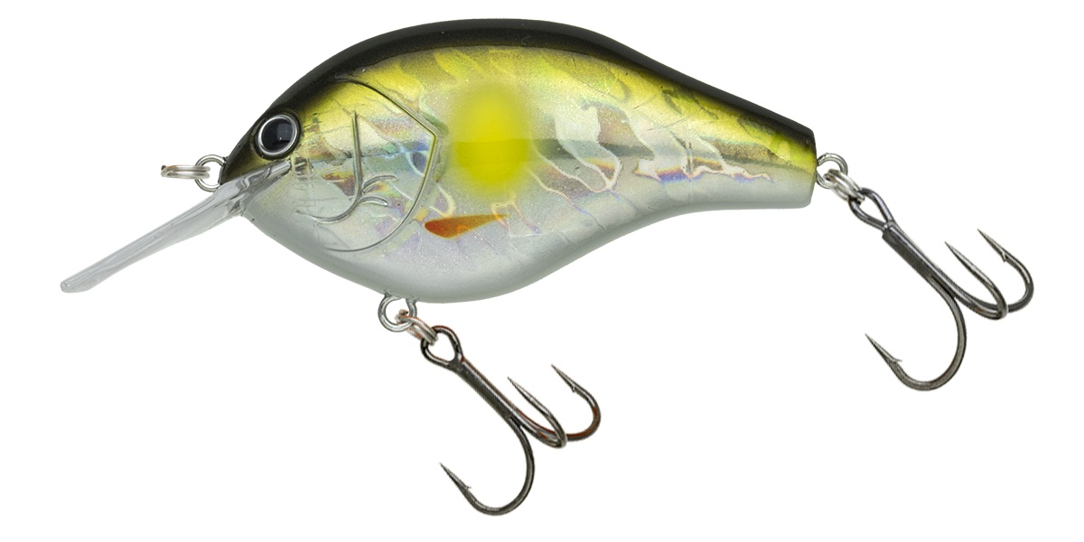 NORIES（ノリーズ） マルノミフラット 60 お一人様各色1点、合計2点