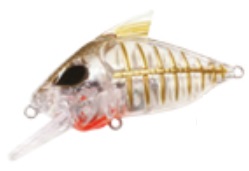 WaterLand（ウォーターランド） スケルトンクランク (定形外可