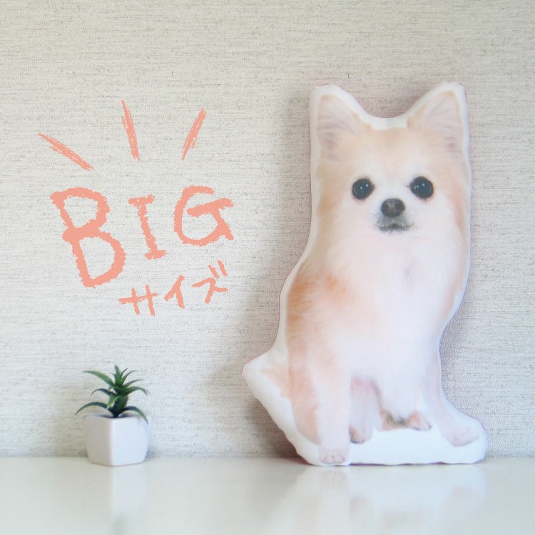 ORIGINAL PET GOODS ONE - Yahoo!ショッピング