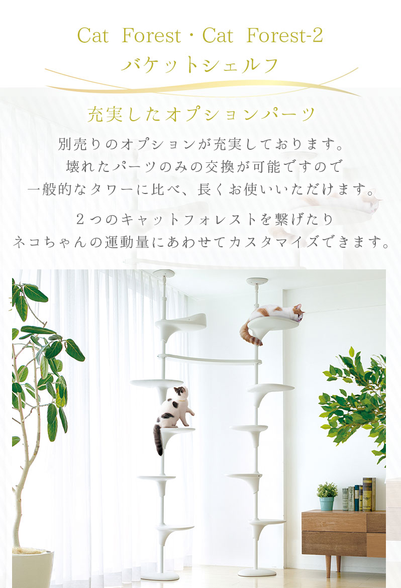 キャットフォレスト