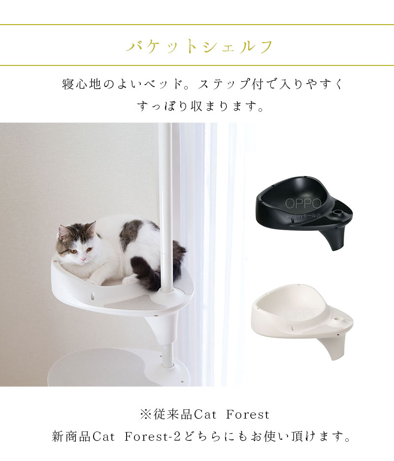 キャットフォレスト