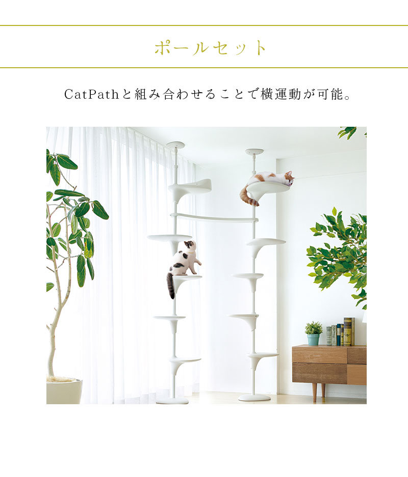 キャットフォレスト